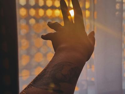 Warm sunlight filtering through a semi-transparent window curtain.